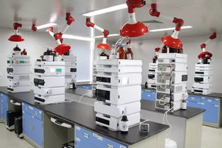 首批省級新型研發機構名單公布 可享受十方面政策扶持